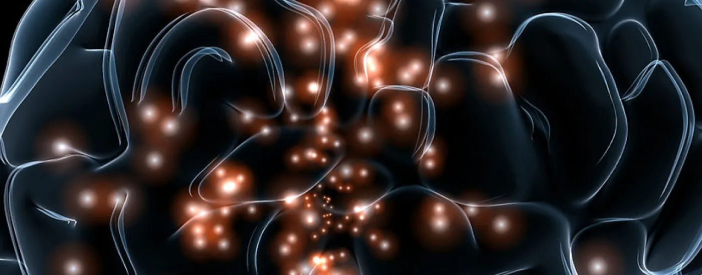 Neuronal activity