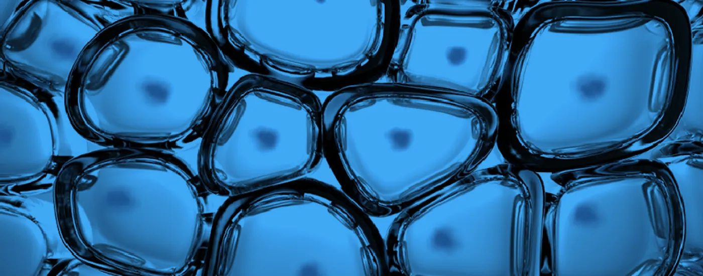 Cell texture