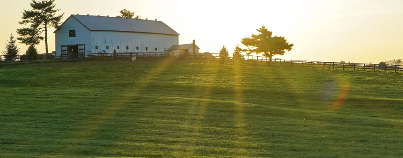 Horse farm