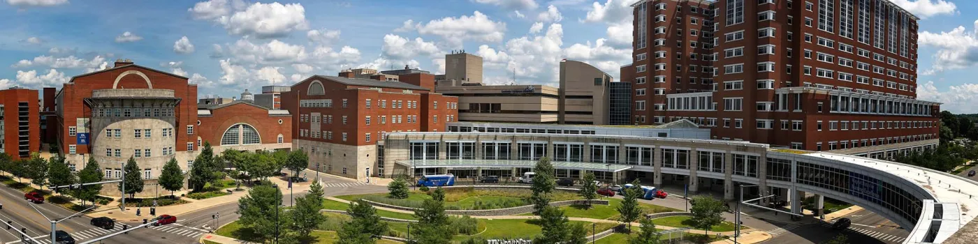 Chandler Hospital
