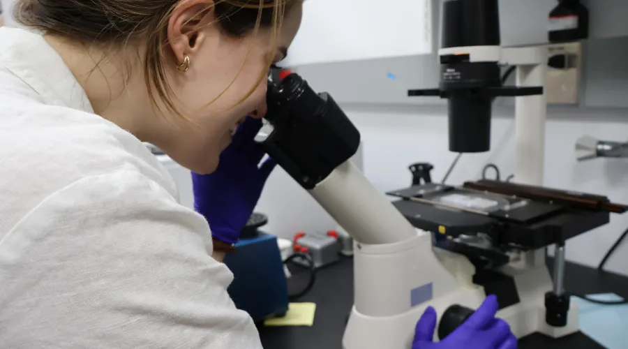 Huffman 2023 Microscope